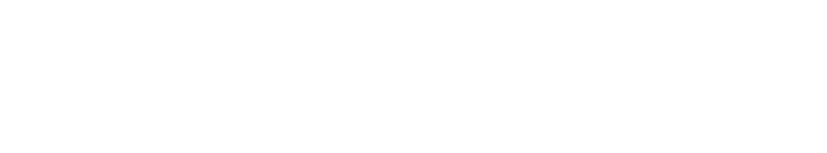 Norwood Steele Creek Logo